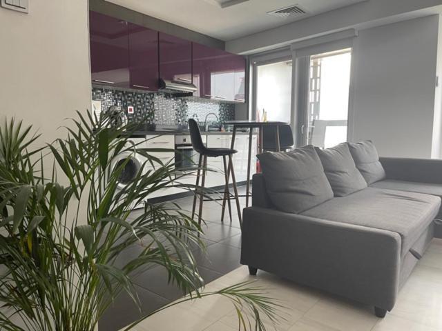 Cayan Tower Luxury Apartment With Sea View Dubaj Exteriér fotografie